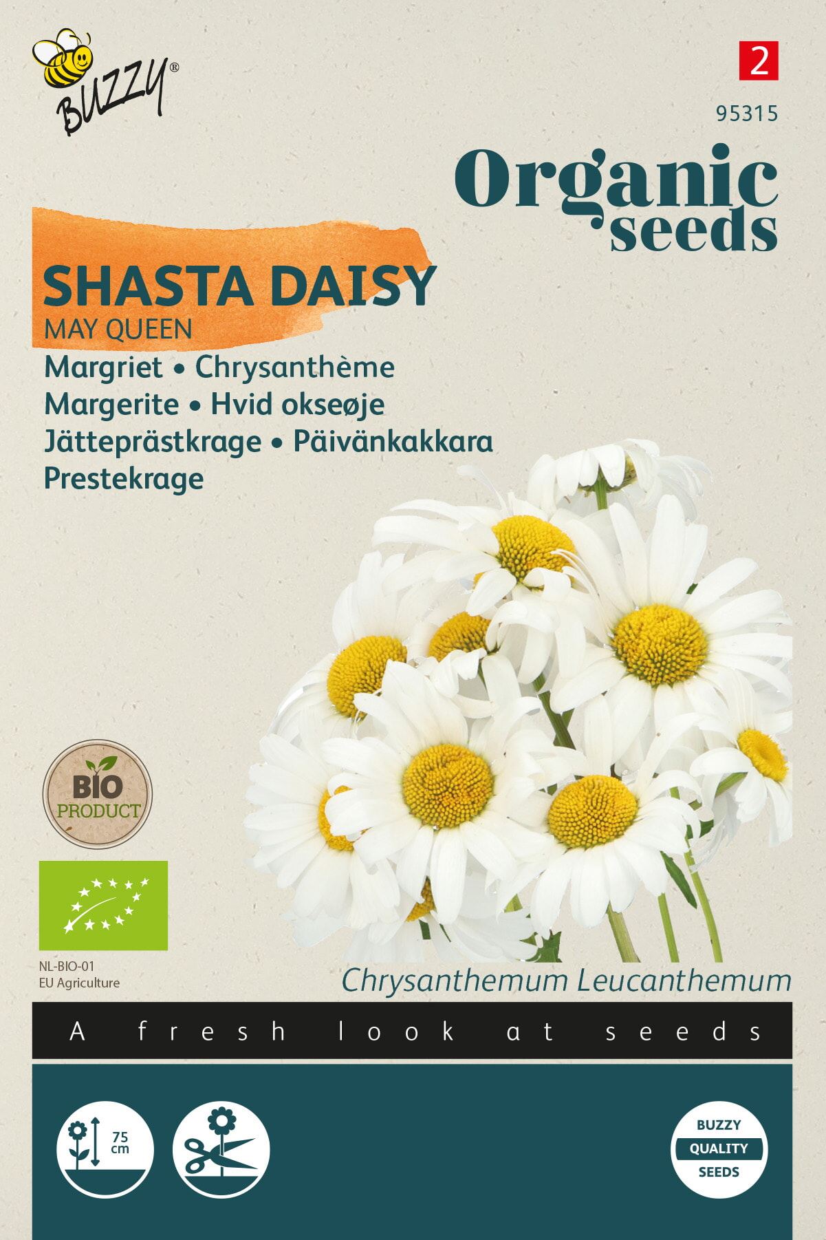 Buzzy-Organic-Chrysanthemum-May-Queen-Margriet