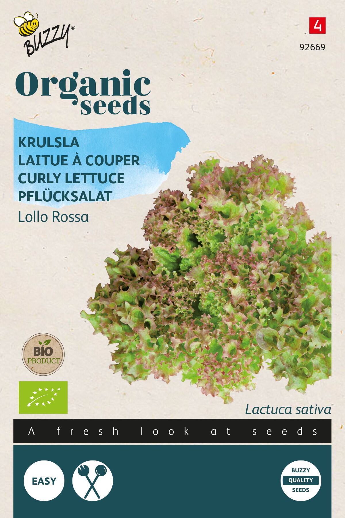 Organic curly lettuce Lollo rossa