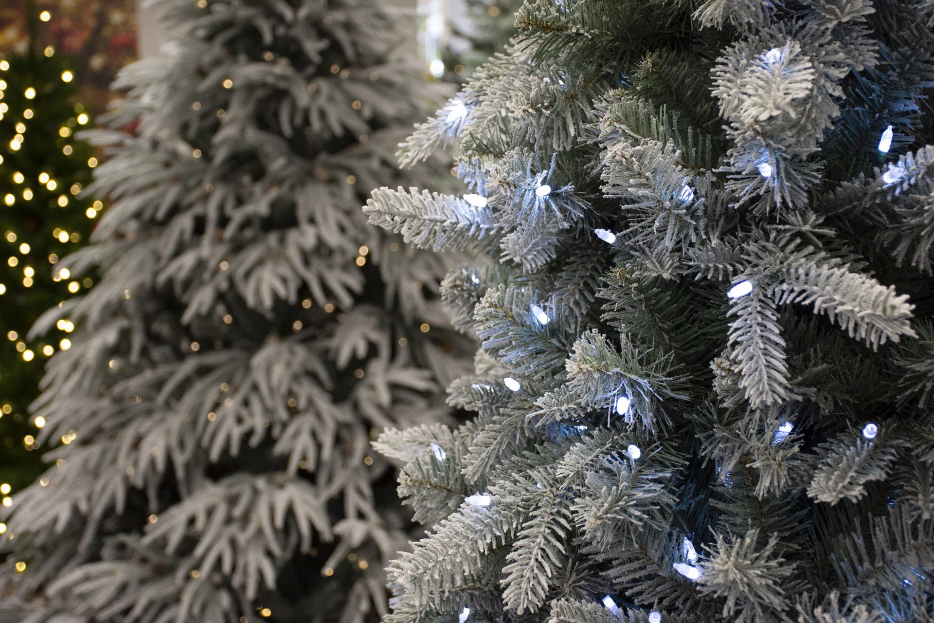 Snowy-Blue-Comet-228cm-550-cool-led