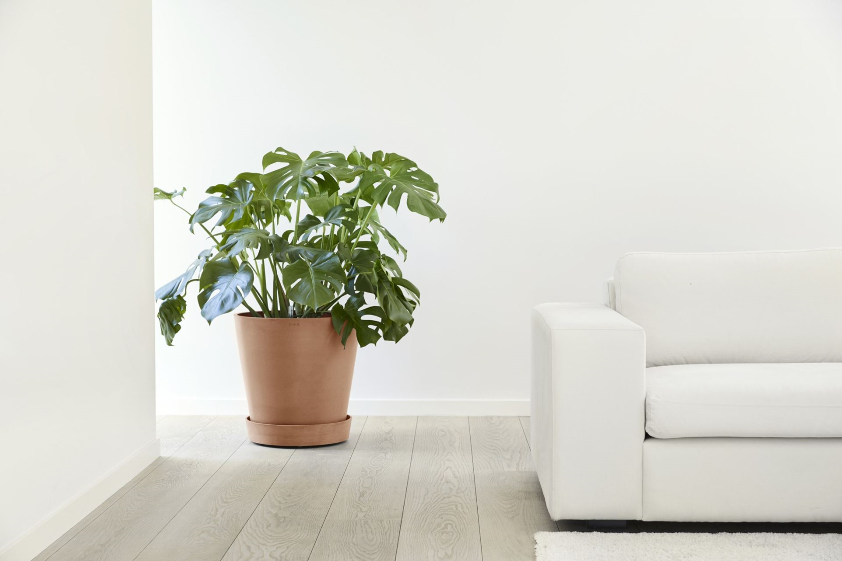 Ecopots onderschotel op wielen - Rond - Terra - Diameter 41,6 x H9 cm