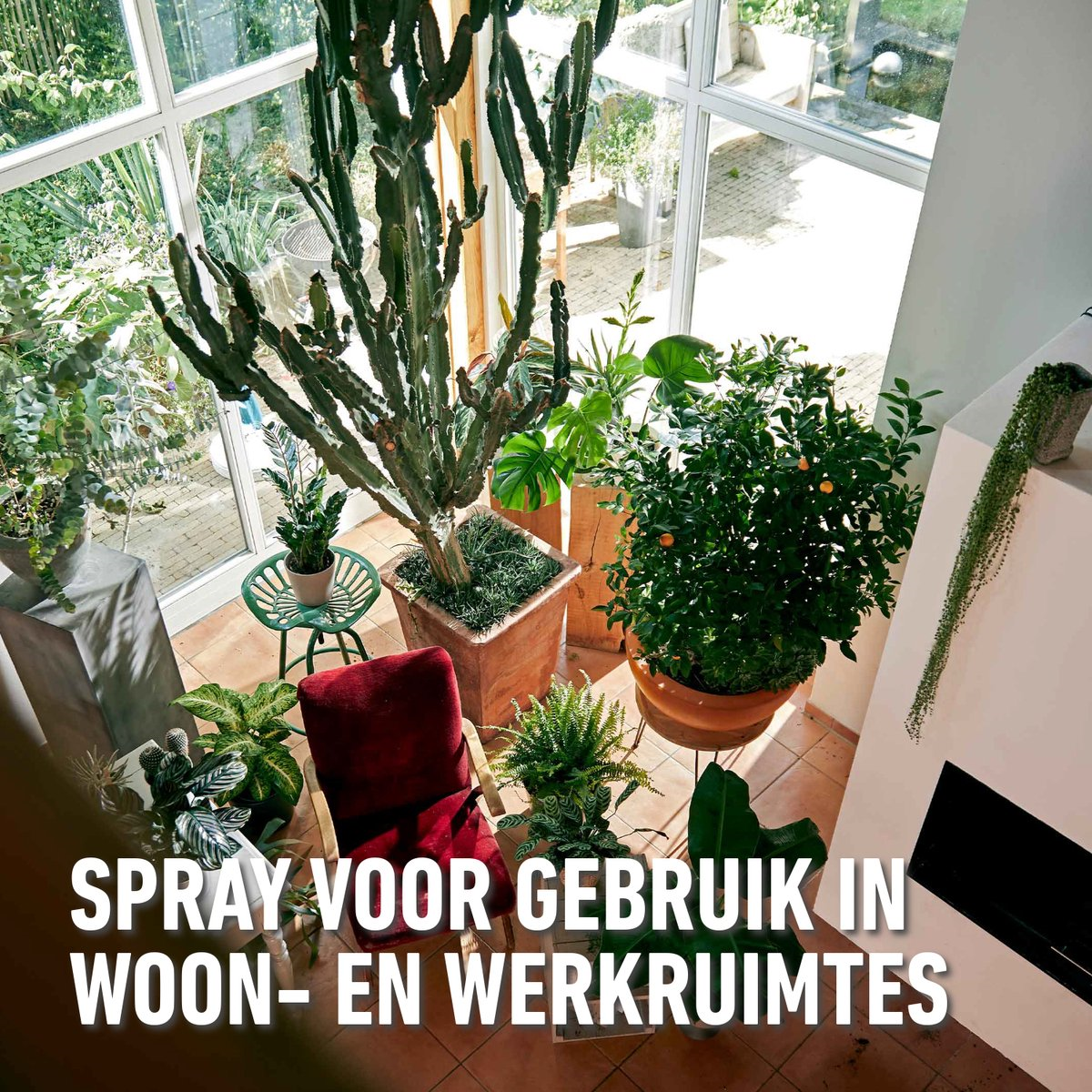 Compo Barrier insect k.o. spray flying insects 400ml