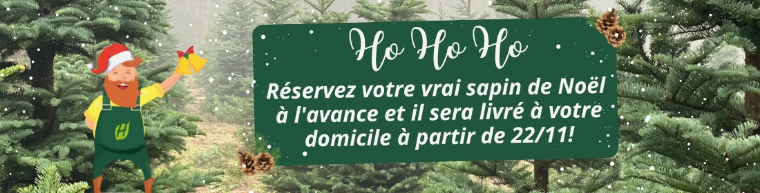 réserver vrai sapin de Noël