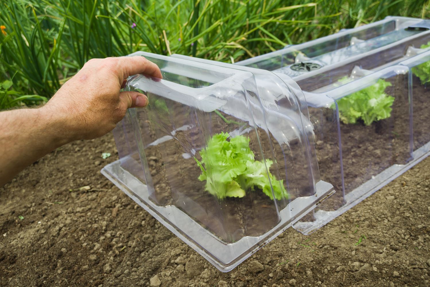 Eindstukken-voor-modulaire-kweektunnel-H41x21-5x22cm-incl-3-grondpennen