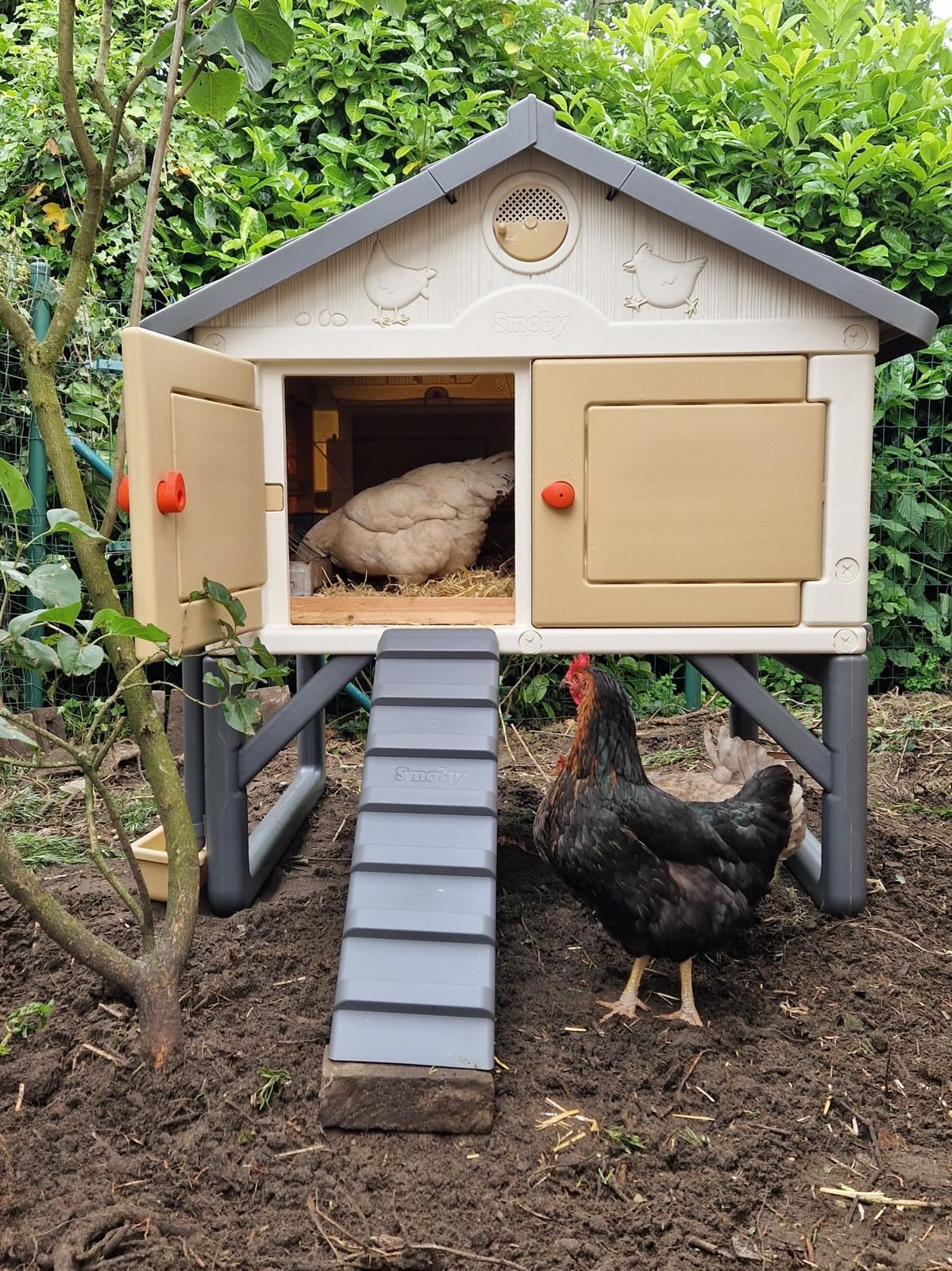 Smoby-Cluck-Cluck-cottage-kippenhok-voor-4-tot-5-kippen