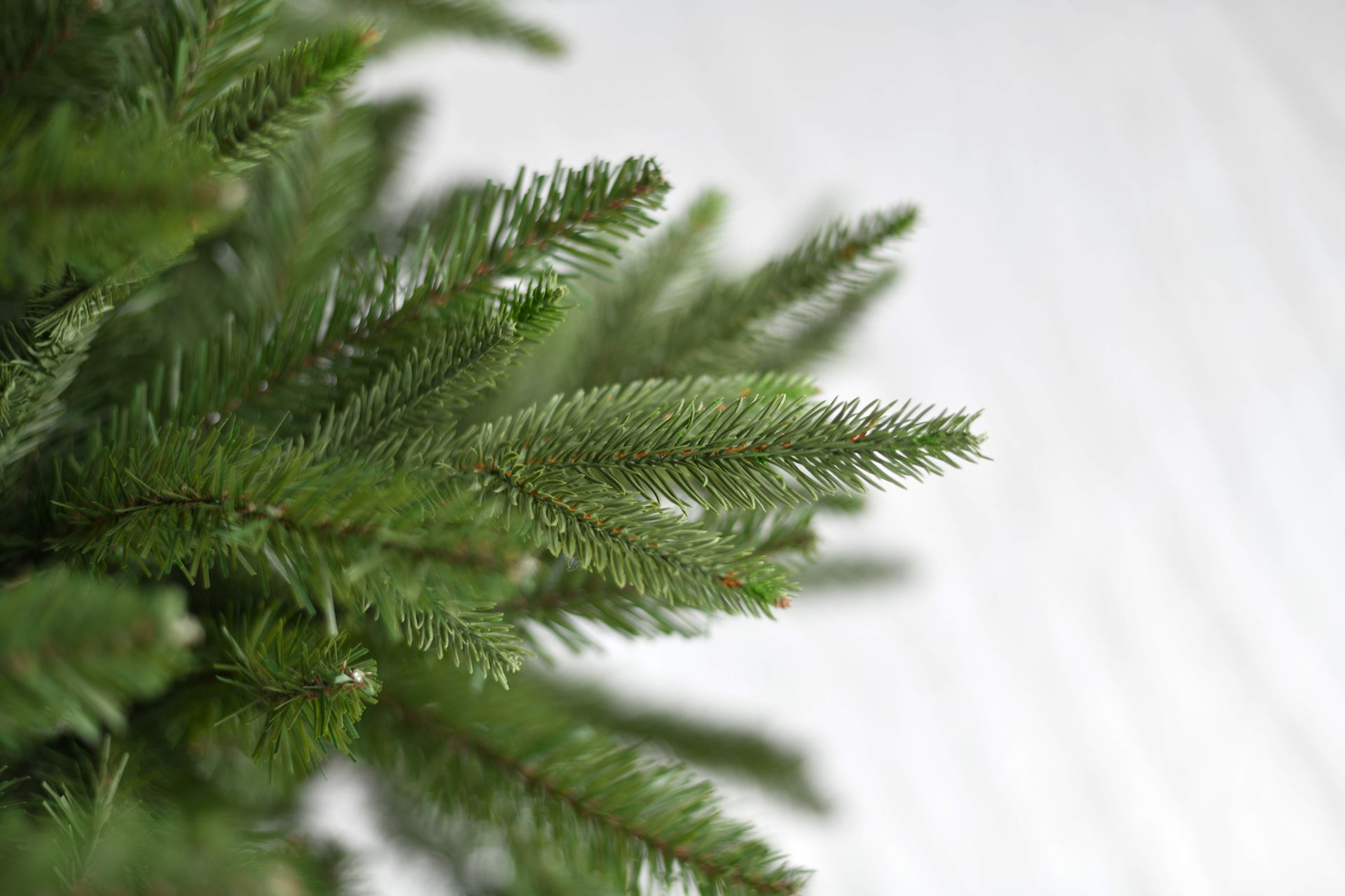 Minnesota-PE-Hinged-Tree-274cm