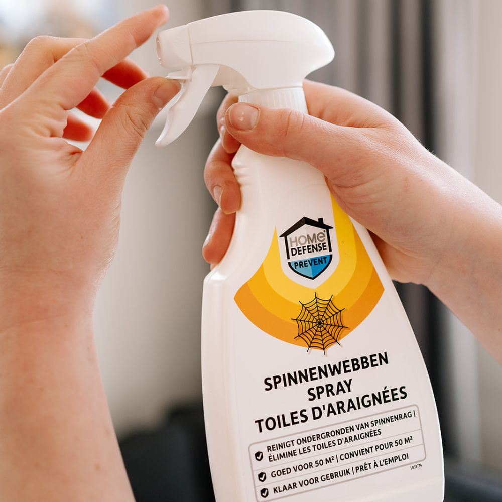 HD-Spinnenwebben-spray-500ml