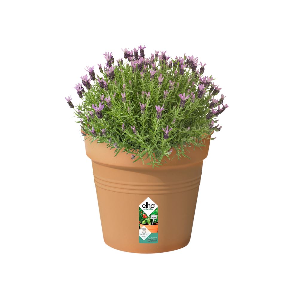green-basics-kweekpot-35cm-mild-terra