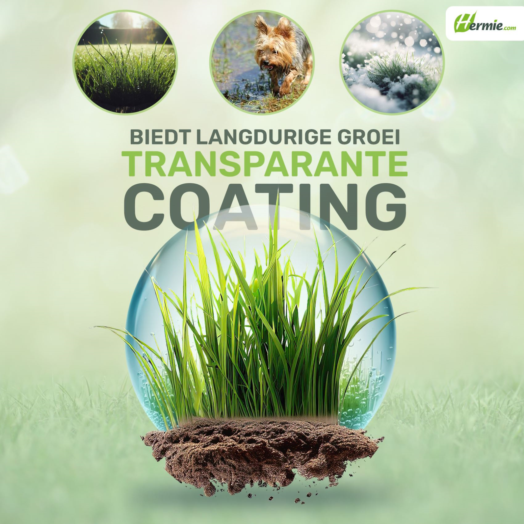 Famiflora semence de gazon 5kg jusqu'à 250m² - Jeux & Sports - pour l'établissement d'un nouveau gazon