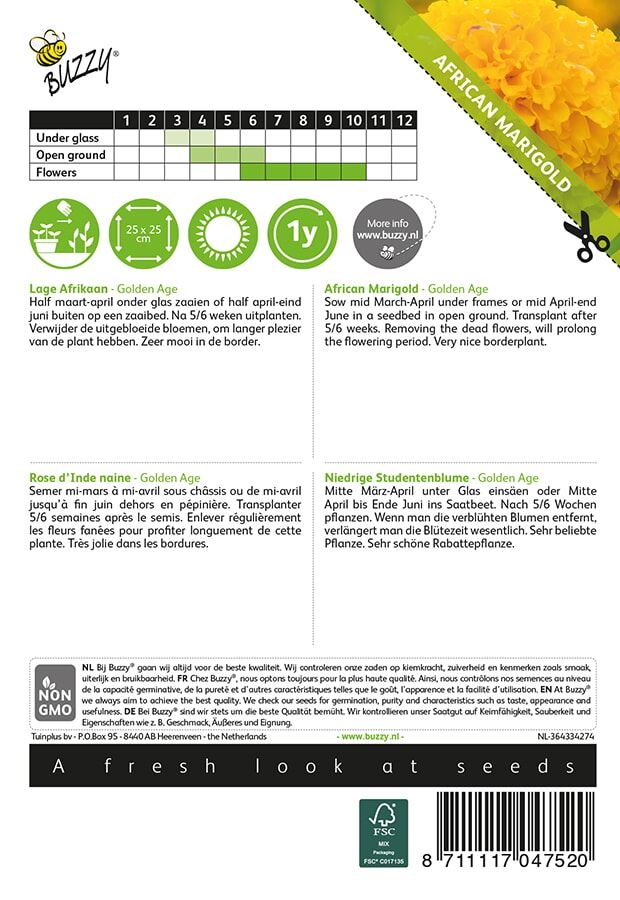 Buzzy-Tagetes-lage-Afrikaan-Golden-Age