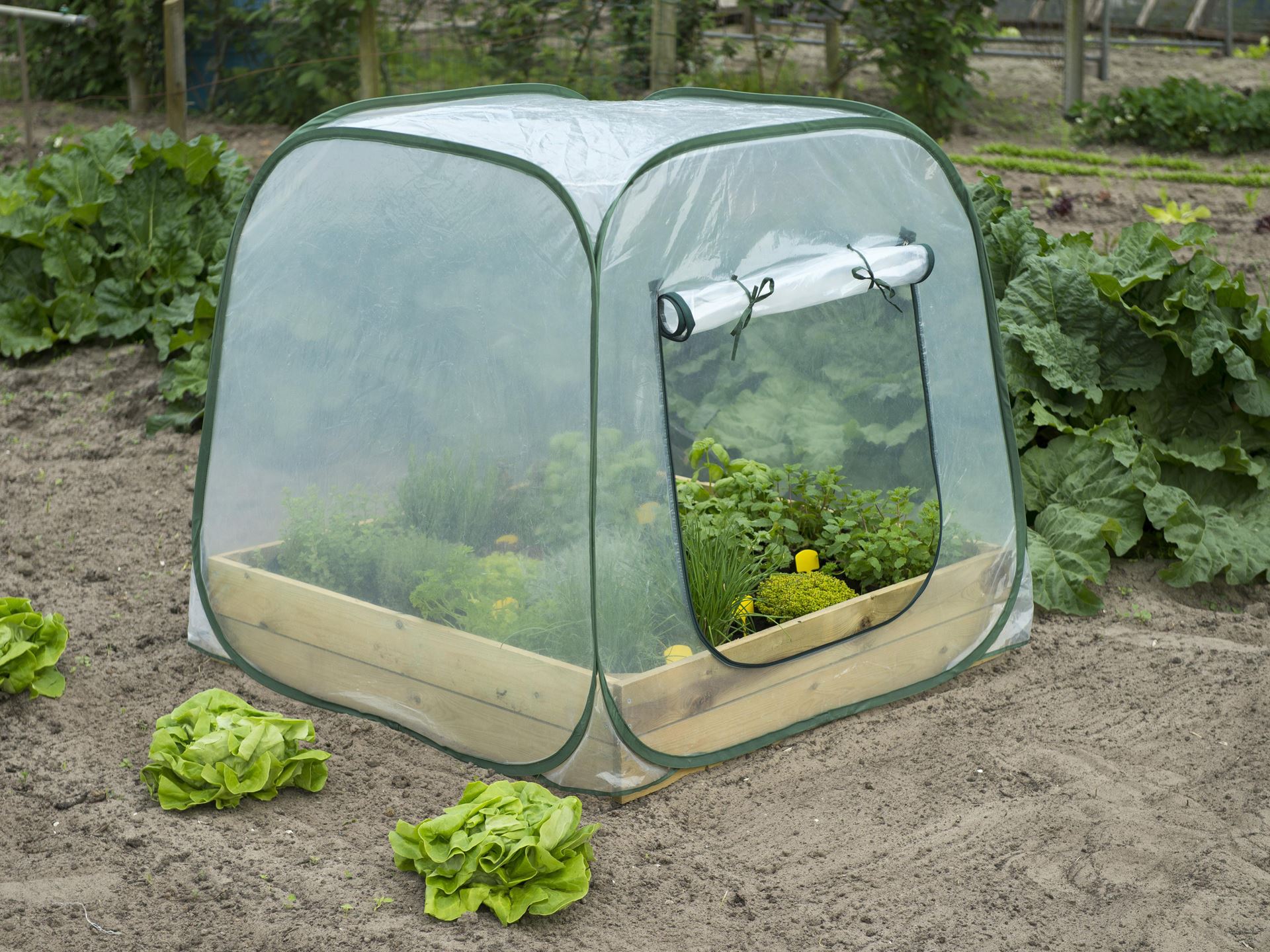 Tuinkas-voor-vierkante-metertuin-pop-up-H100x100x100cm