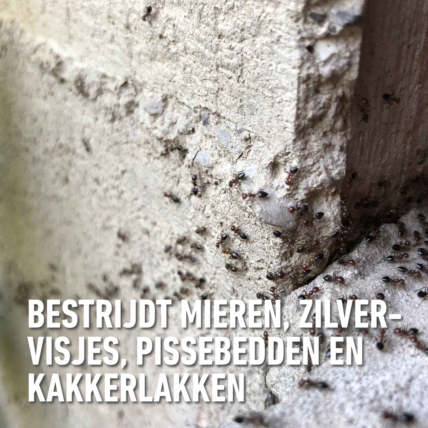 Barriere-insect-mirazyl-spray-750ml