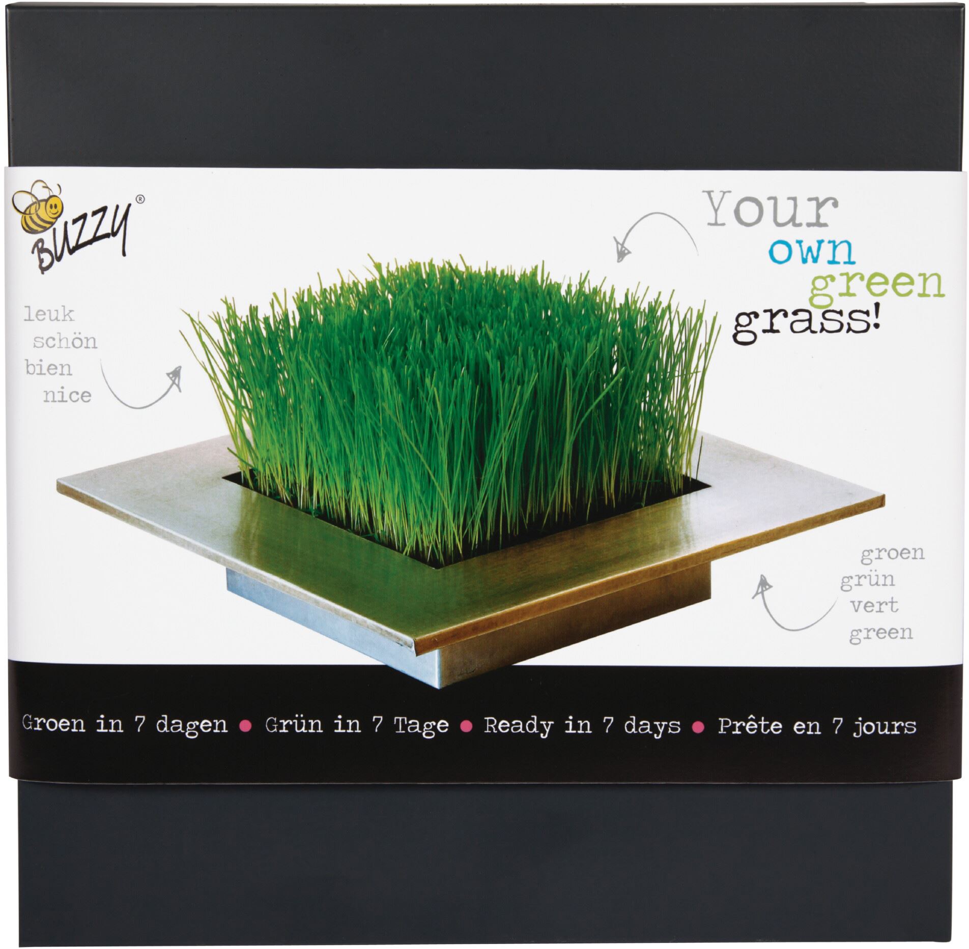 Buzzy-Trendy-Gras-Zinken-Tray