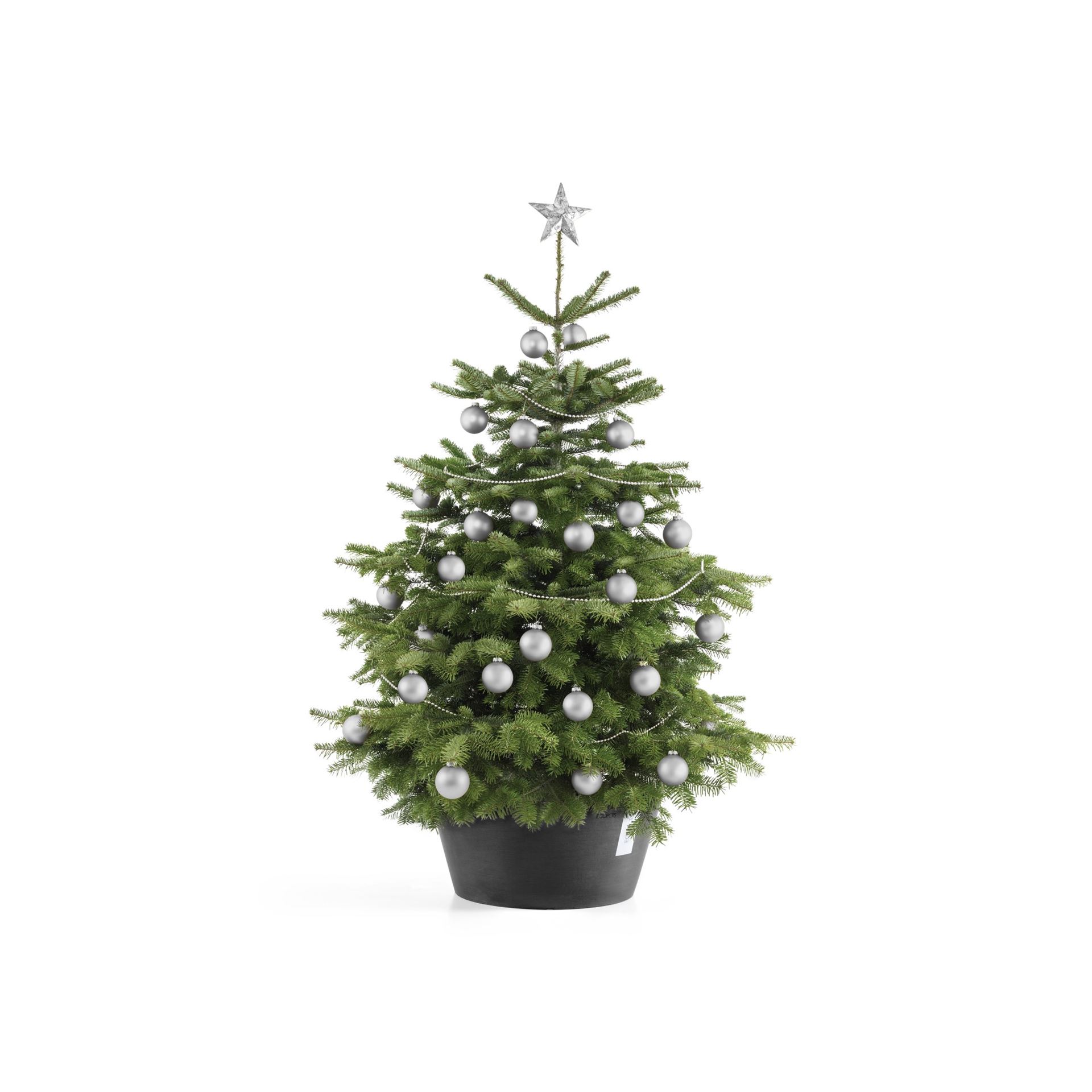 Ecopots-kerstboomvoet-XL-dark-grey-50cm