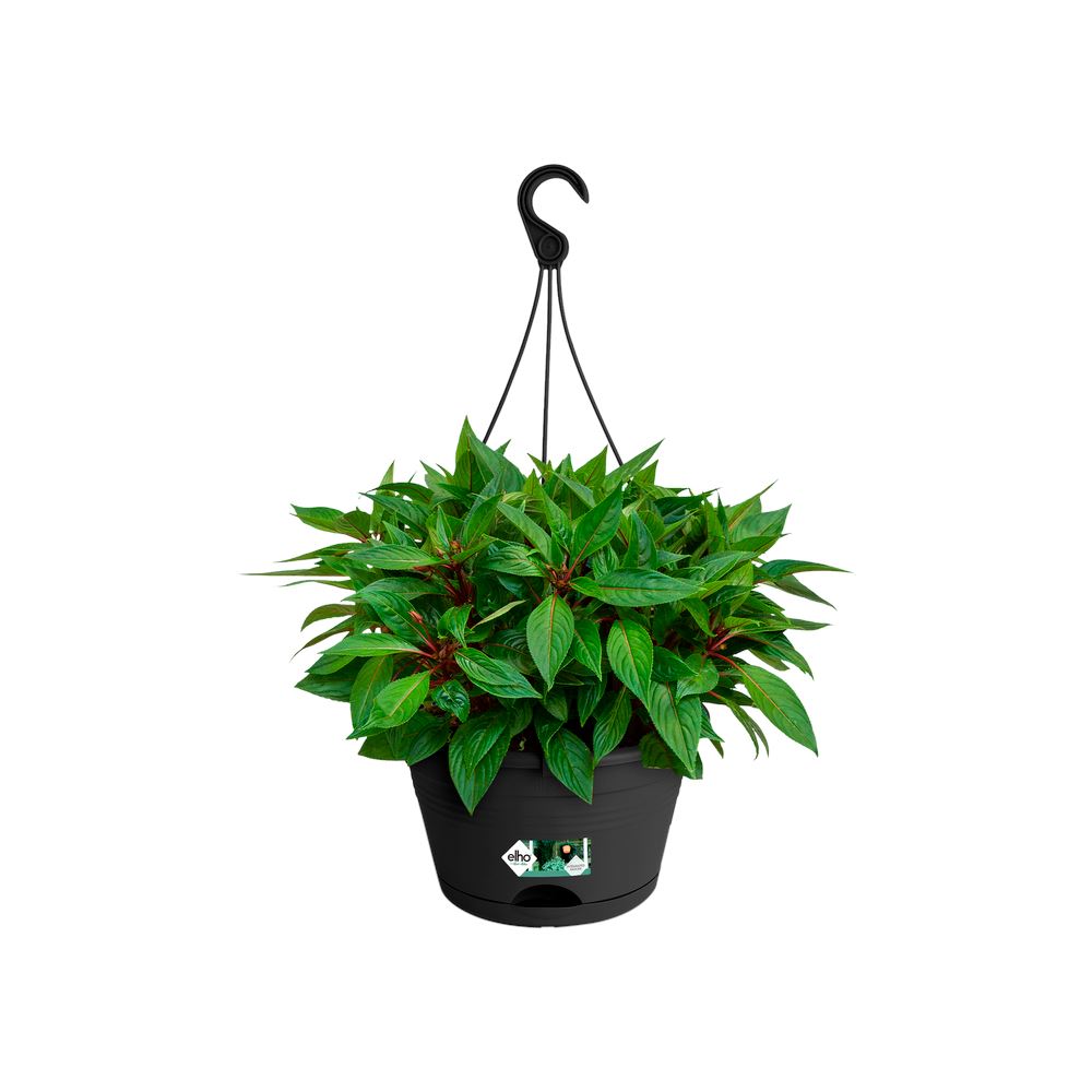 green-basics-hangschaal-rond-28cm-living-black