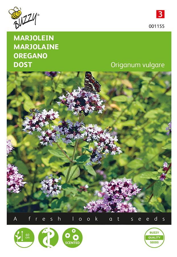 Buzzy® Marjolein zaden - Oregano 