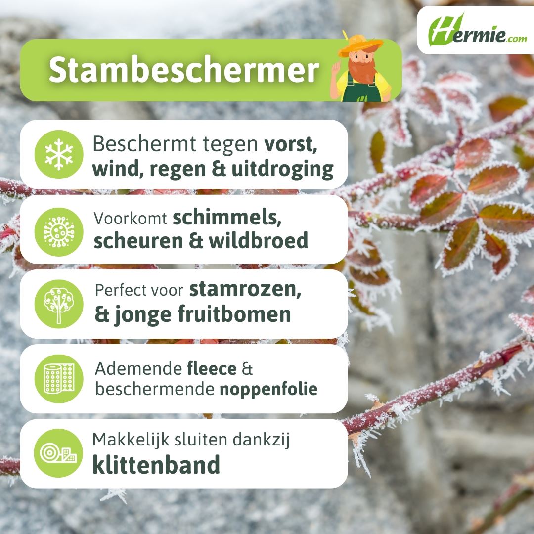 ThermoPlus-stam-bescherming