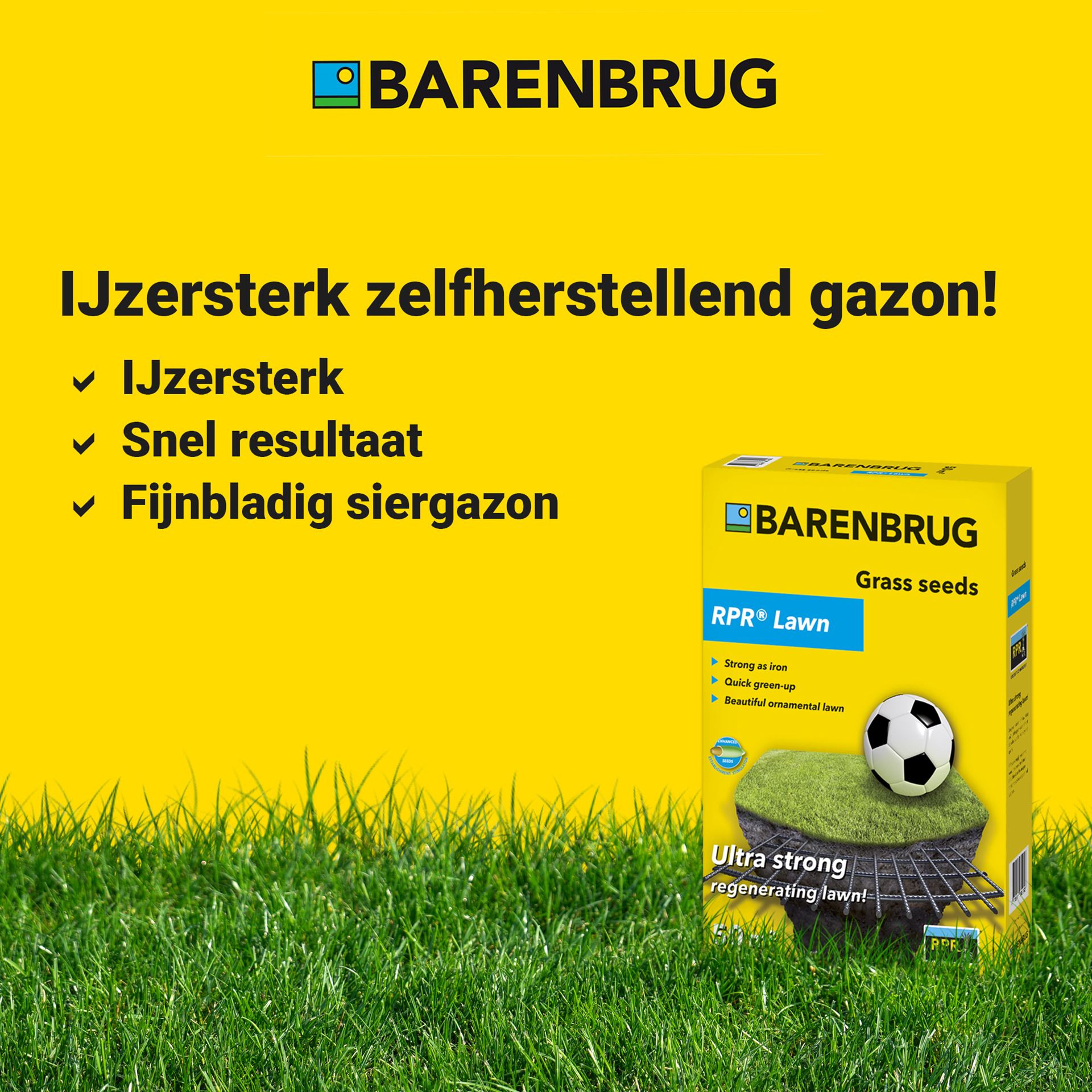RPR-Lawn-15kg-ijzersterk-zelfherstellend-gazon-2-3-kg-100-m-Bar-Power-RPR-