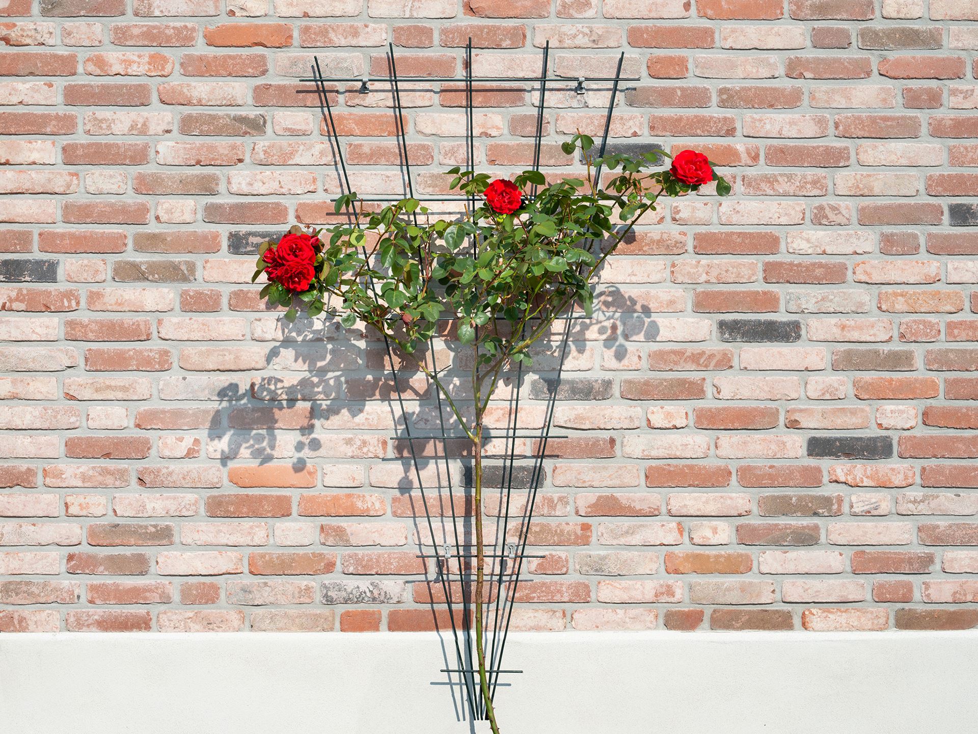 Metalen-klimrek-gegalvaniseerd-V-vorm-H145x5-75cm