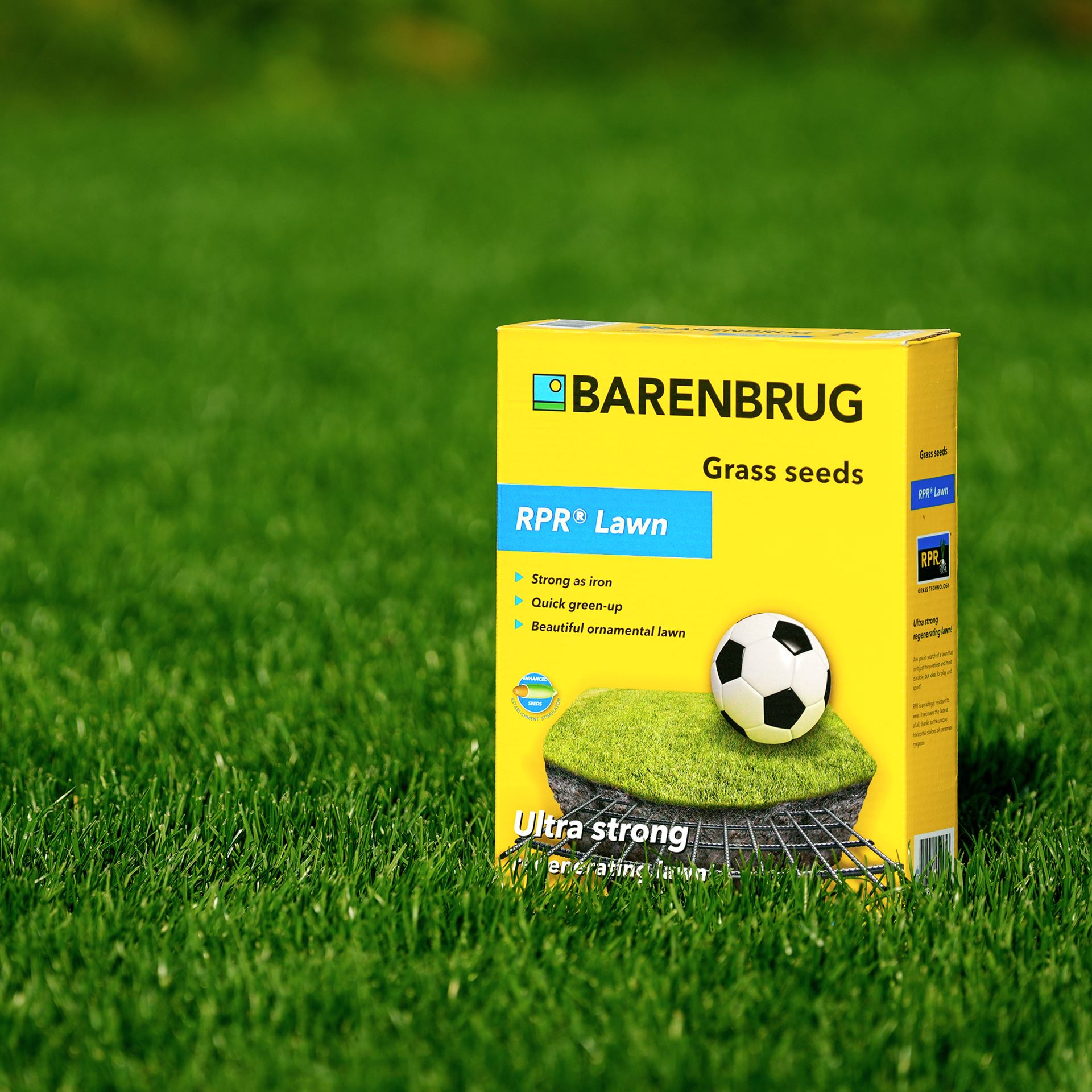 Barenbrug Gazon Dense Semence Gazon BARENBRUG 5kg - Soin Après Démoussage, Germination Rapide, Fabriqué France Regarnissage Pelouse Après Mousse Barenbrug Gazon Dense Semence Gazon BARENBRUG 5kg - Soin Après Démoussage, Germination Rapide, Fabriqué France Regarnissage Pelouse Après Mousse