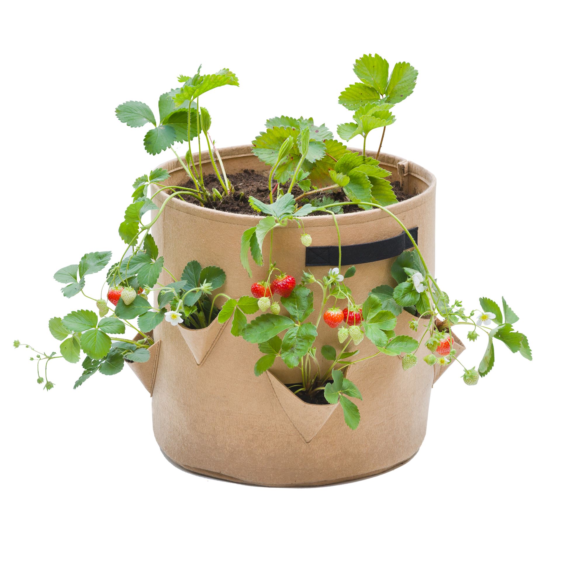 Aardbeien-plantenkweekzak-PET-vliesstof-beige-H35-x-35-cm