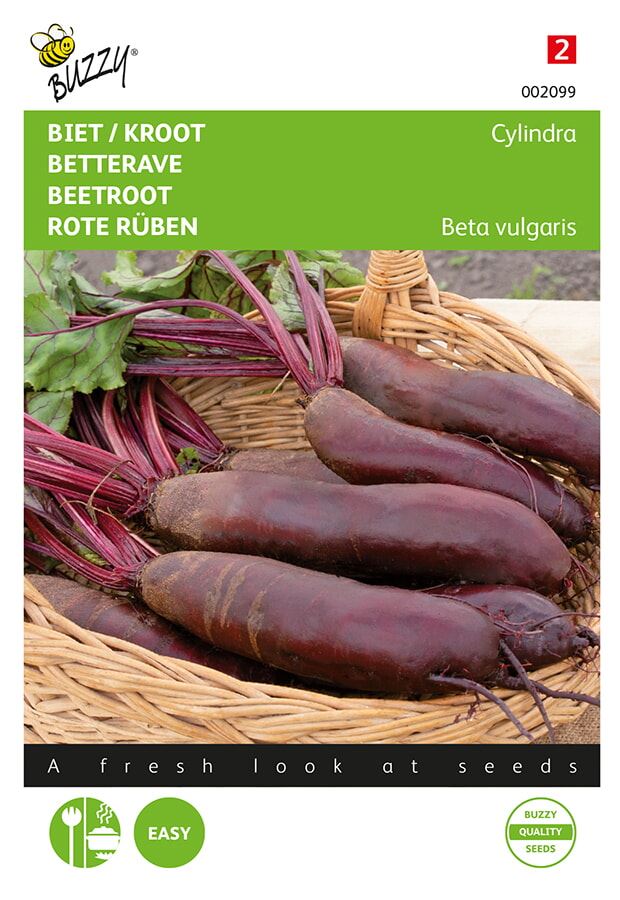 Buzzy-Biet-Kroot-Cylindra