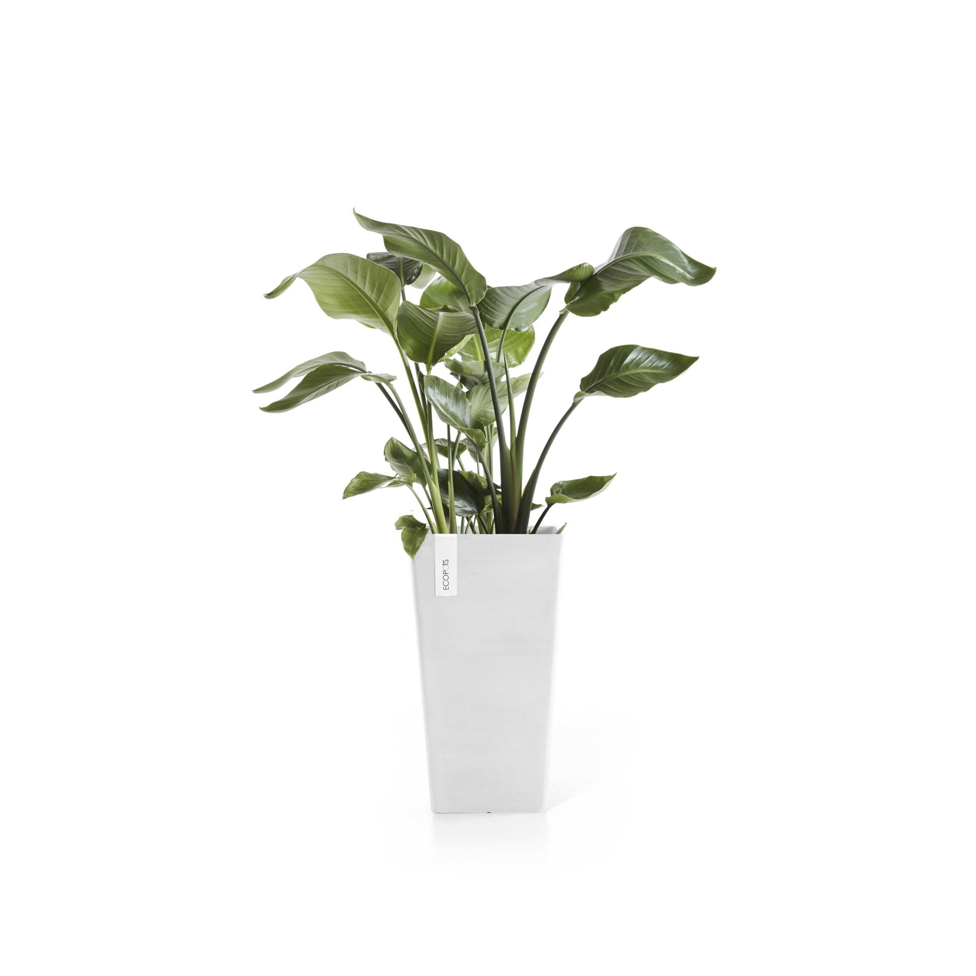 ecopots-Rotterdam-Mid-High-Pure-White-LBH-31x31x56-cm