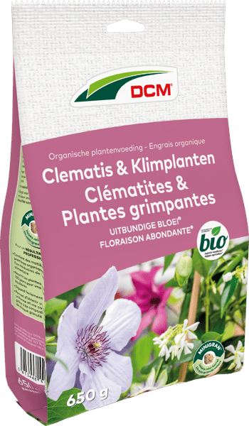dcm-clematis-klimplanten-0-65kg