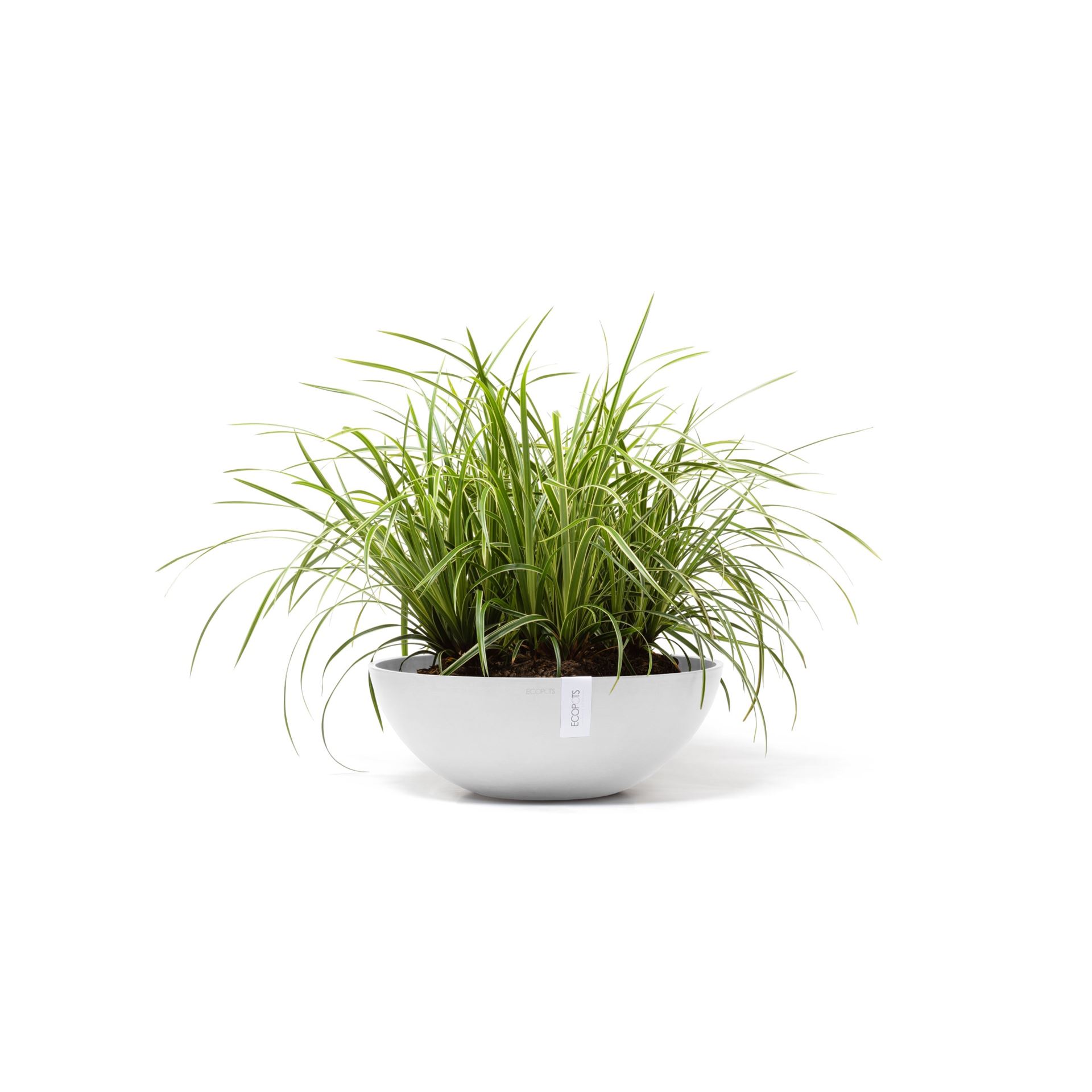 ecopots-Vienna-Pure-White-50-cm-H18-cm