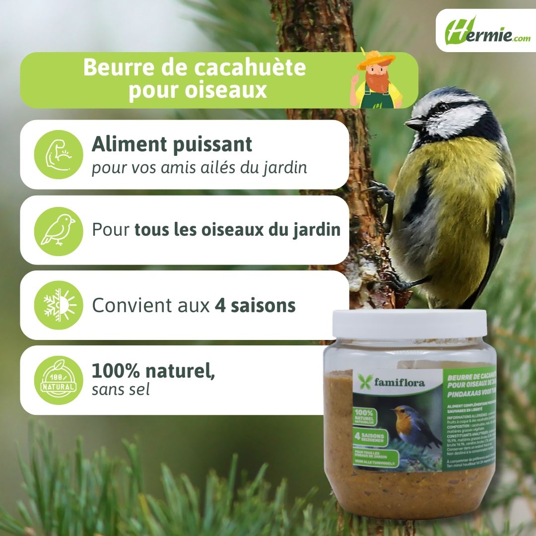 Famiflora peanut butter for garden birds nature - 350 gr - Bird peanut butter