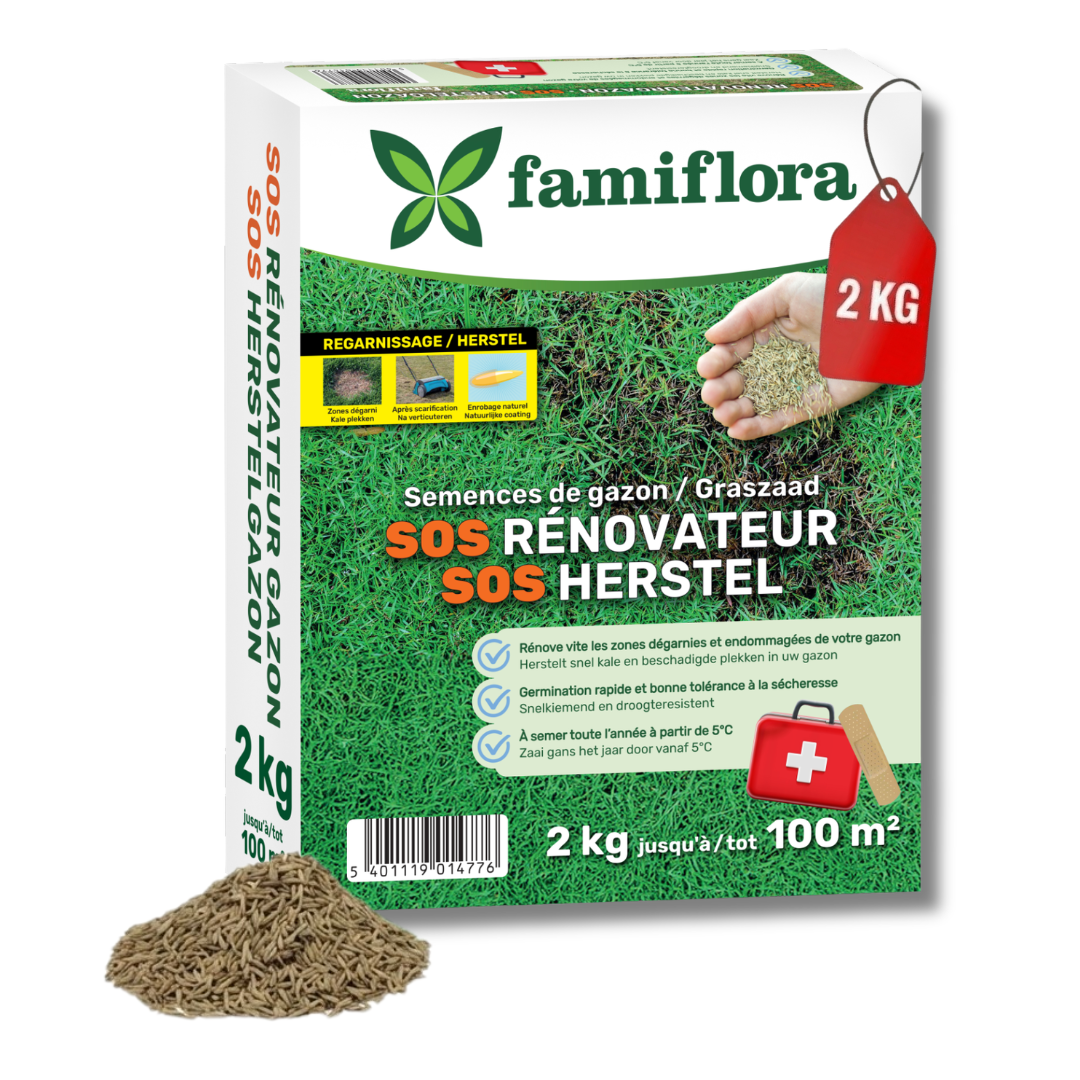 Famiflora grass seed 2kg up to 100m² - SOS repair lawn - fast recovery bald spots