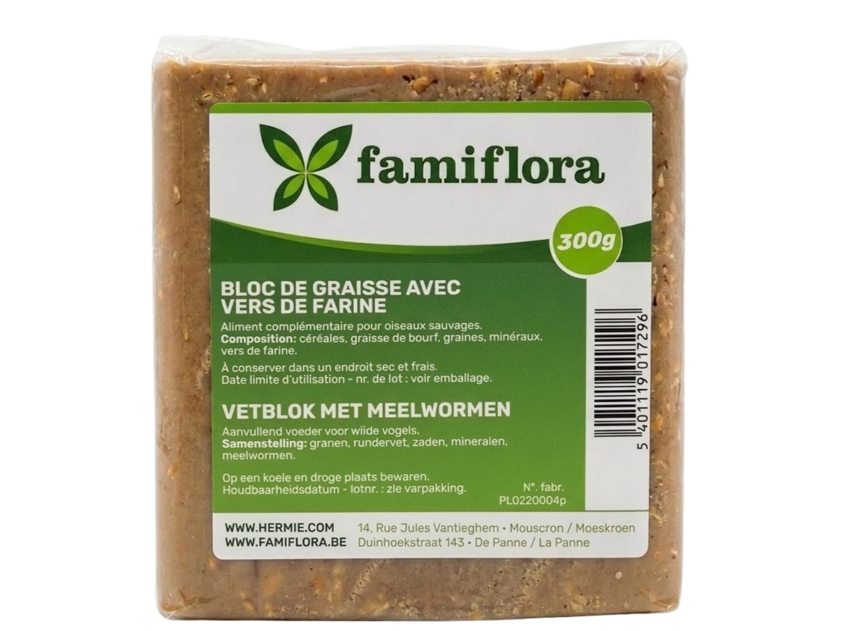 Famiflora bloc de graisse pour oiseaux d'extérieur - Avec vers de farine - 300g