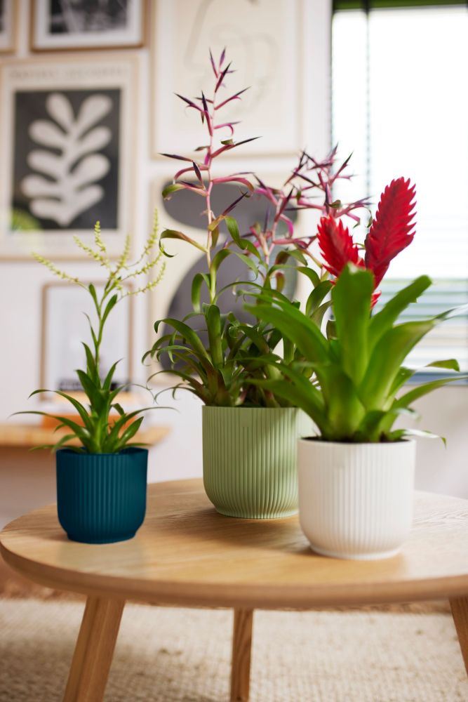 Bloempot-Vibes-fold-rond-16cm-Sorbet-groen