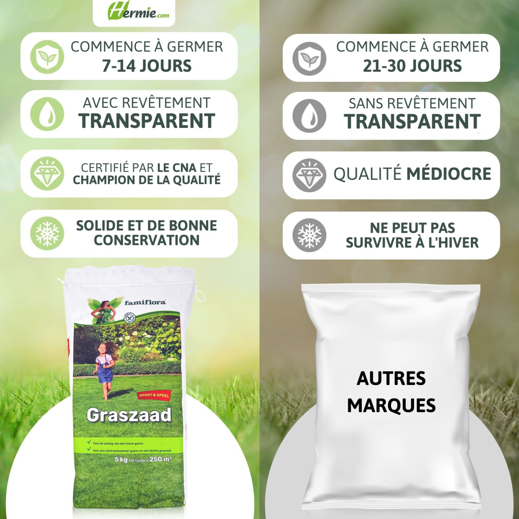 Famiflora semence de gazon 5kg jusqu'à 250m² - Jeux & Sports - pour l'établissement d'un nouveau gazon