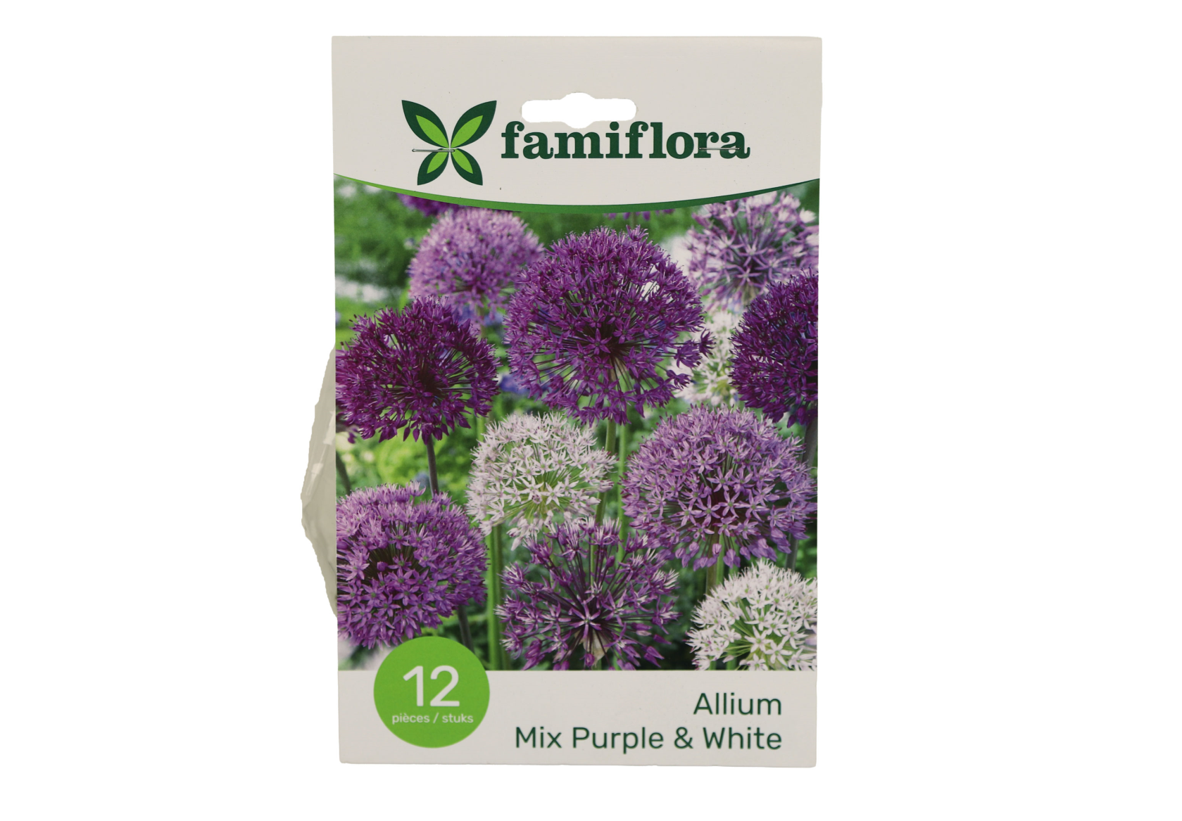 Famiflora Allium Mix Pourpre/Blanc - 12 bulbes - Taille 10/12 - Bulbes de printemps