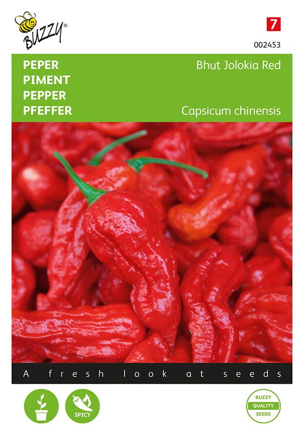 Buzzy-Peper-Bhut-Jolokia-Red