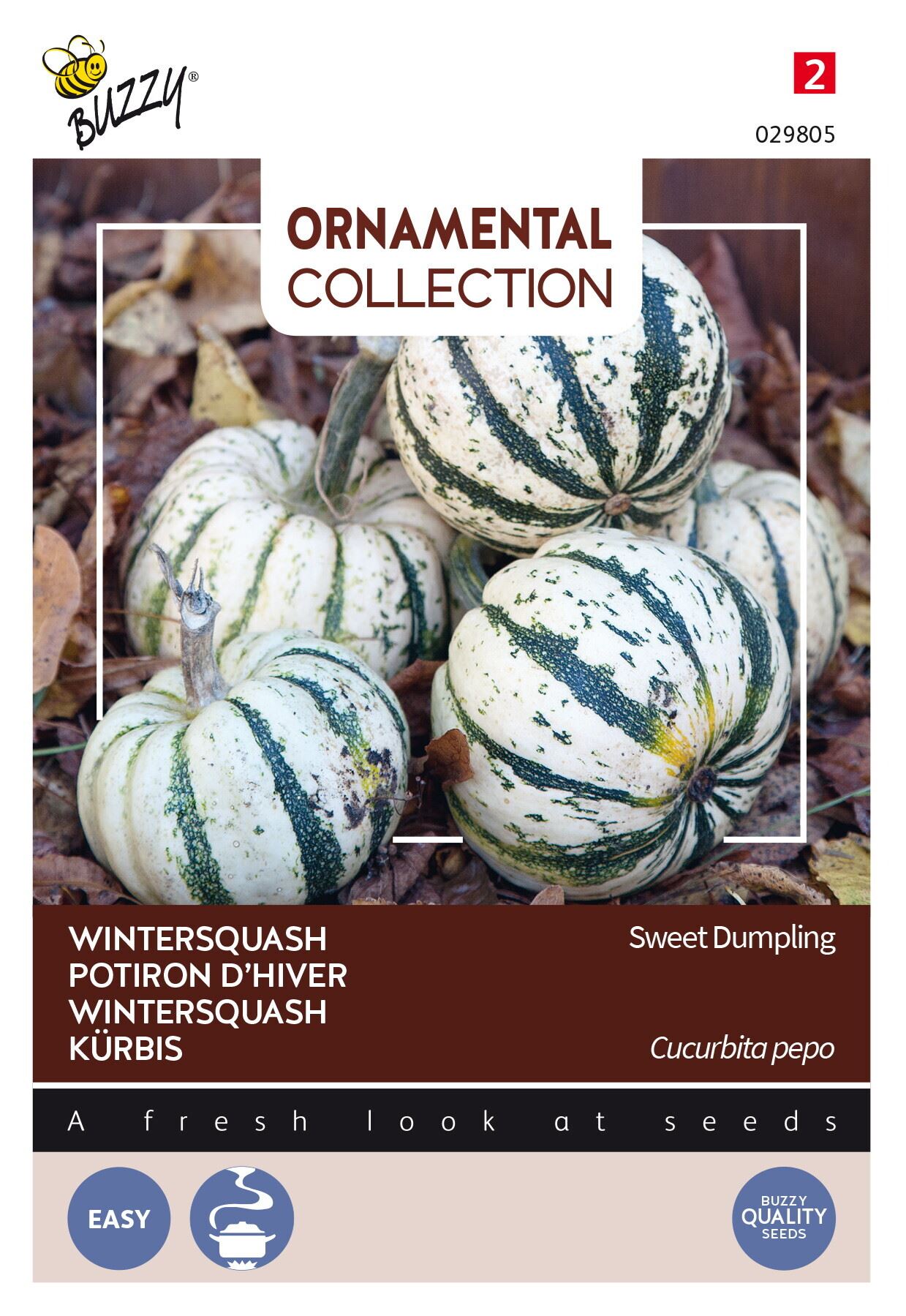 Buzzy-Ornamental-Wintersquash-Sweet-Dumpling