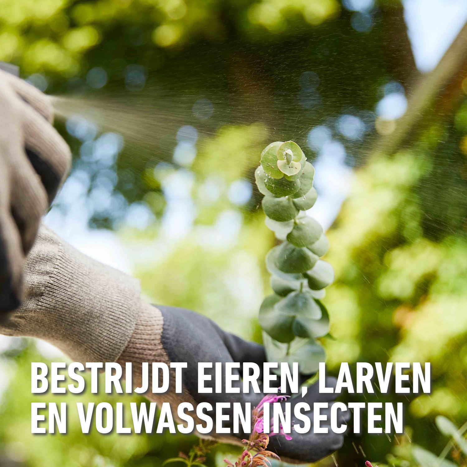 Compo-bio-insect-stop-universeel-spray-750ml