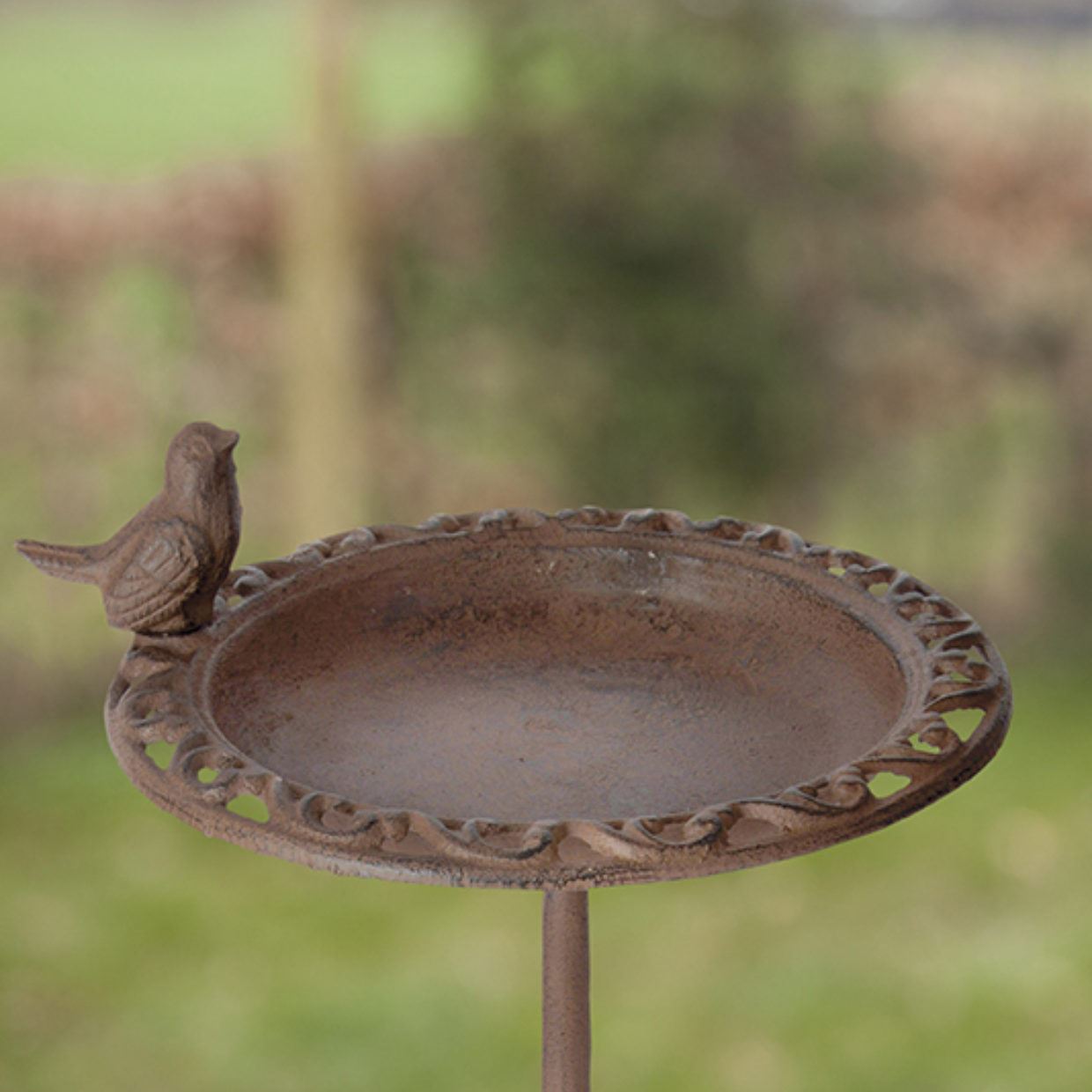 Vogelbad-op-verhoogde-voet-gietijzer