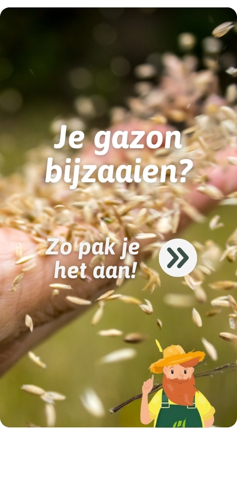 TW_graszaad_NL