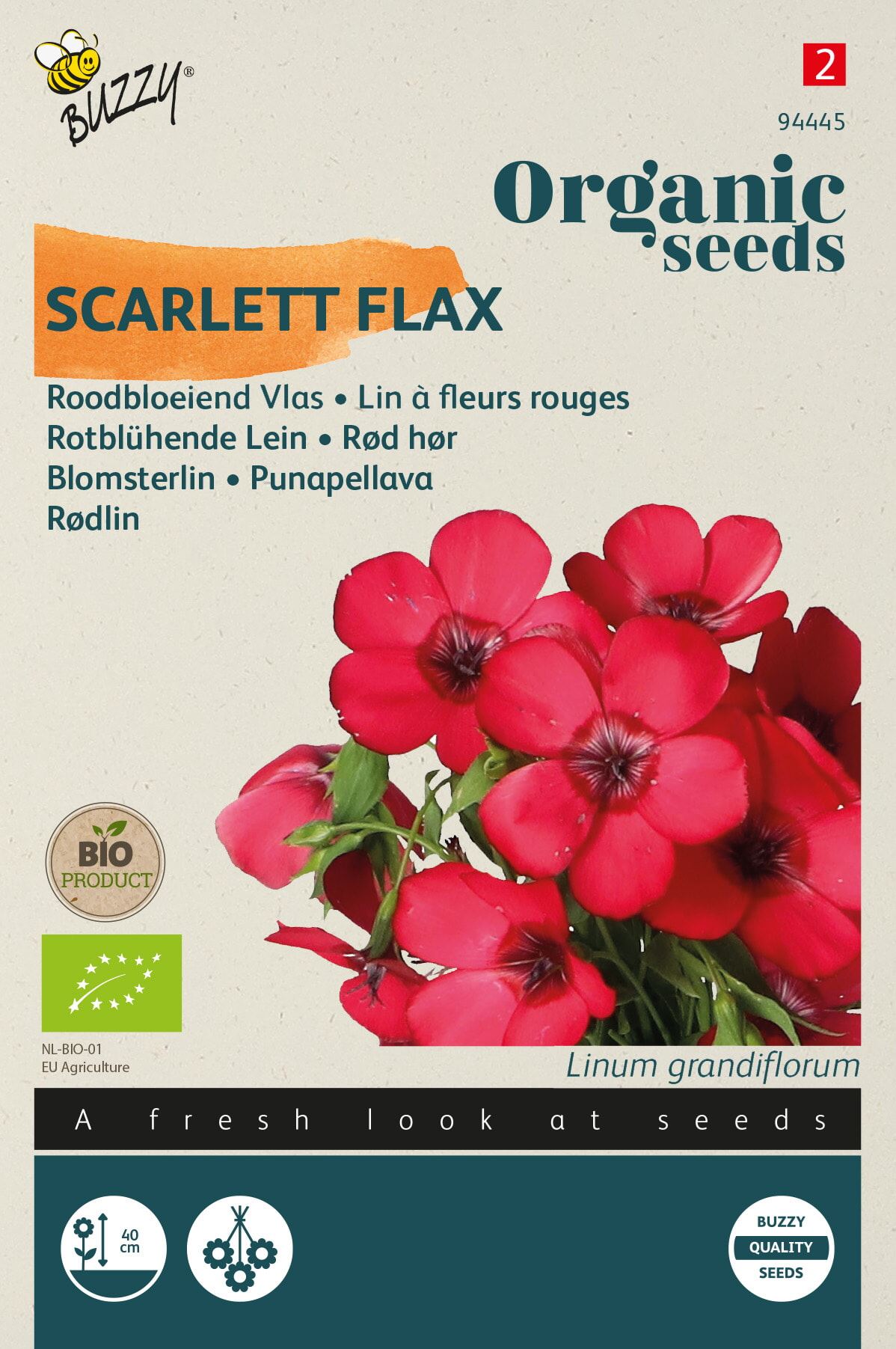 Buzzy-Organic-Linum-rubrum-grandiflorum