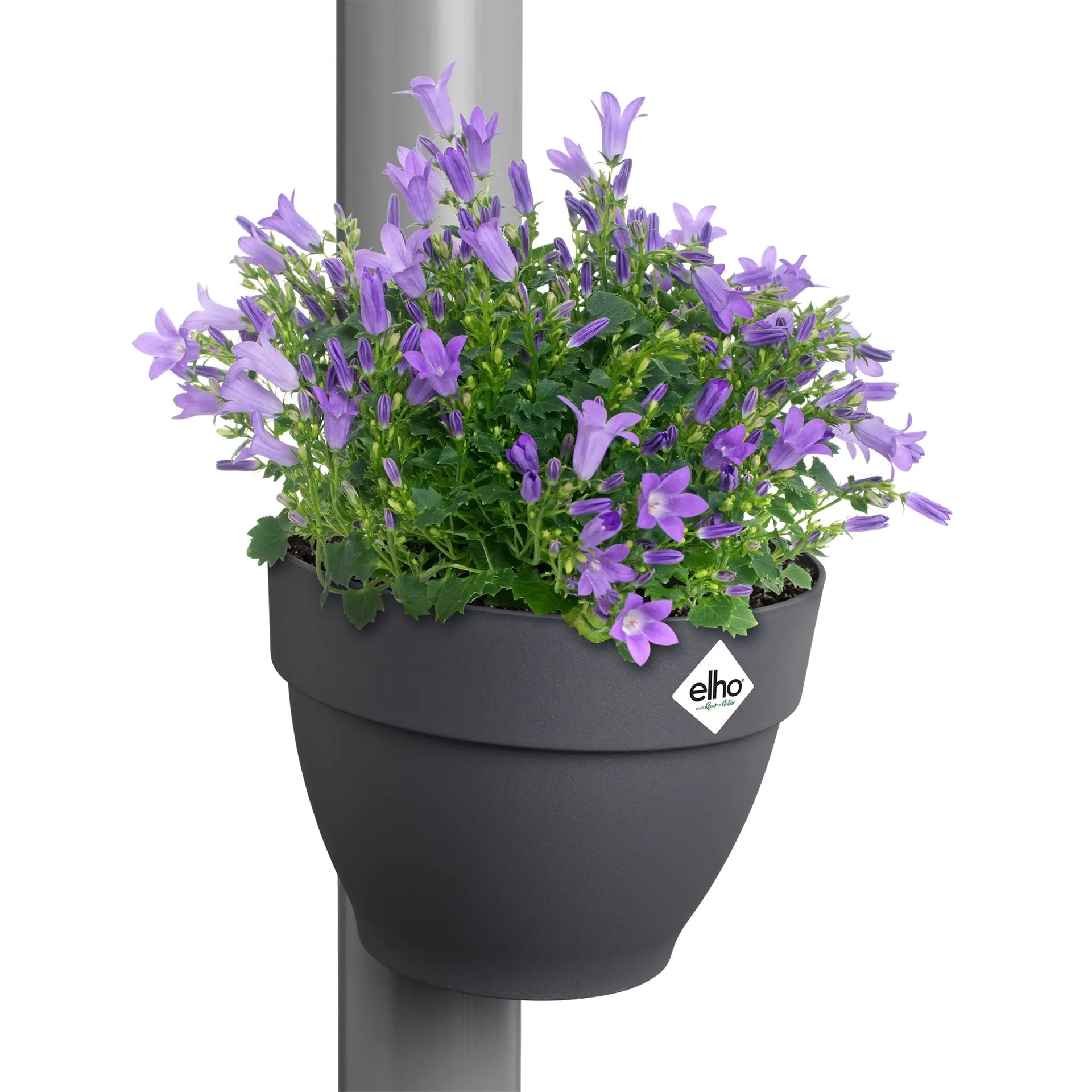 elho Vibia Campana regenpijpbakje 22cm - Antraciet (Grijs) - Ø19 x H16 cm - Fleur rond een regenpijp - 100% gerecycled vibia-campana-regenpijpbakje-22cm-antraciet