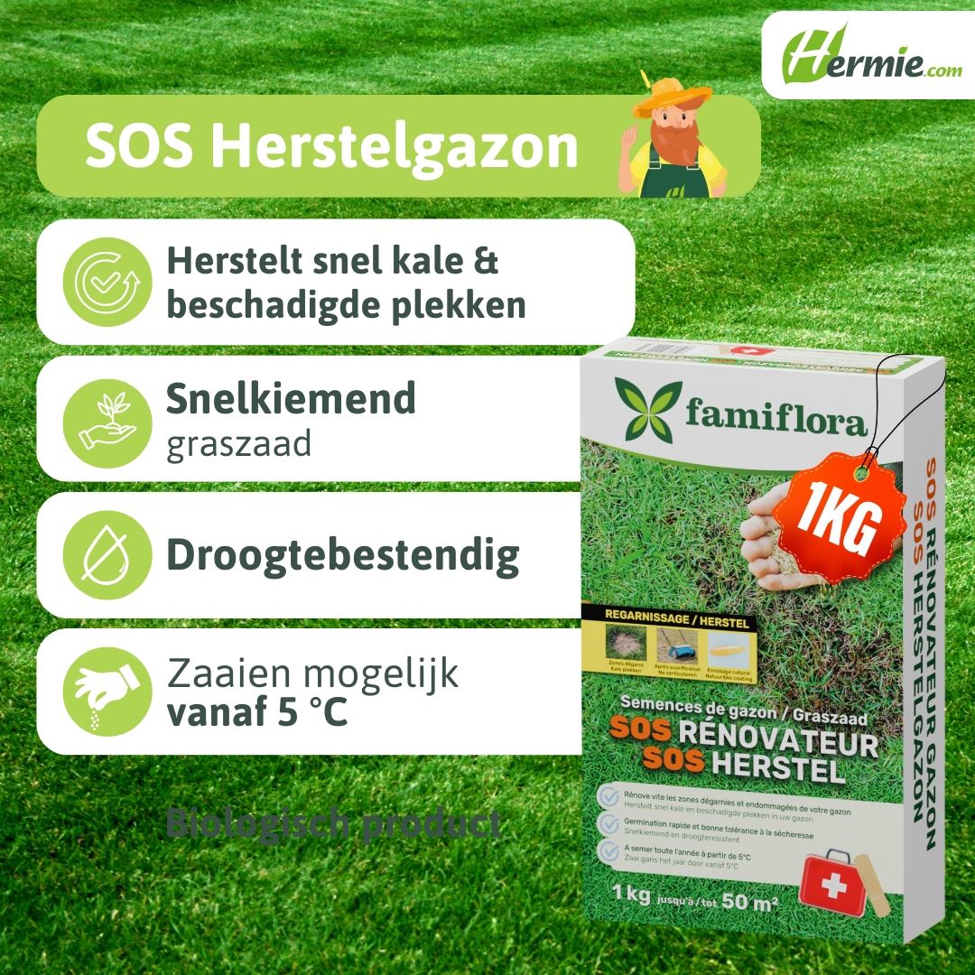 SOS-Herstelgazon-1Kg-50m-