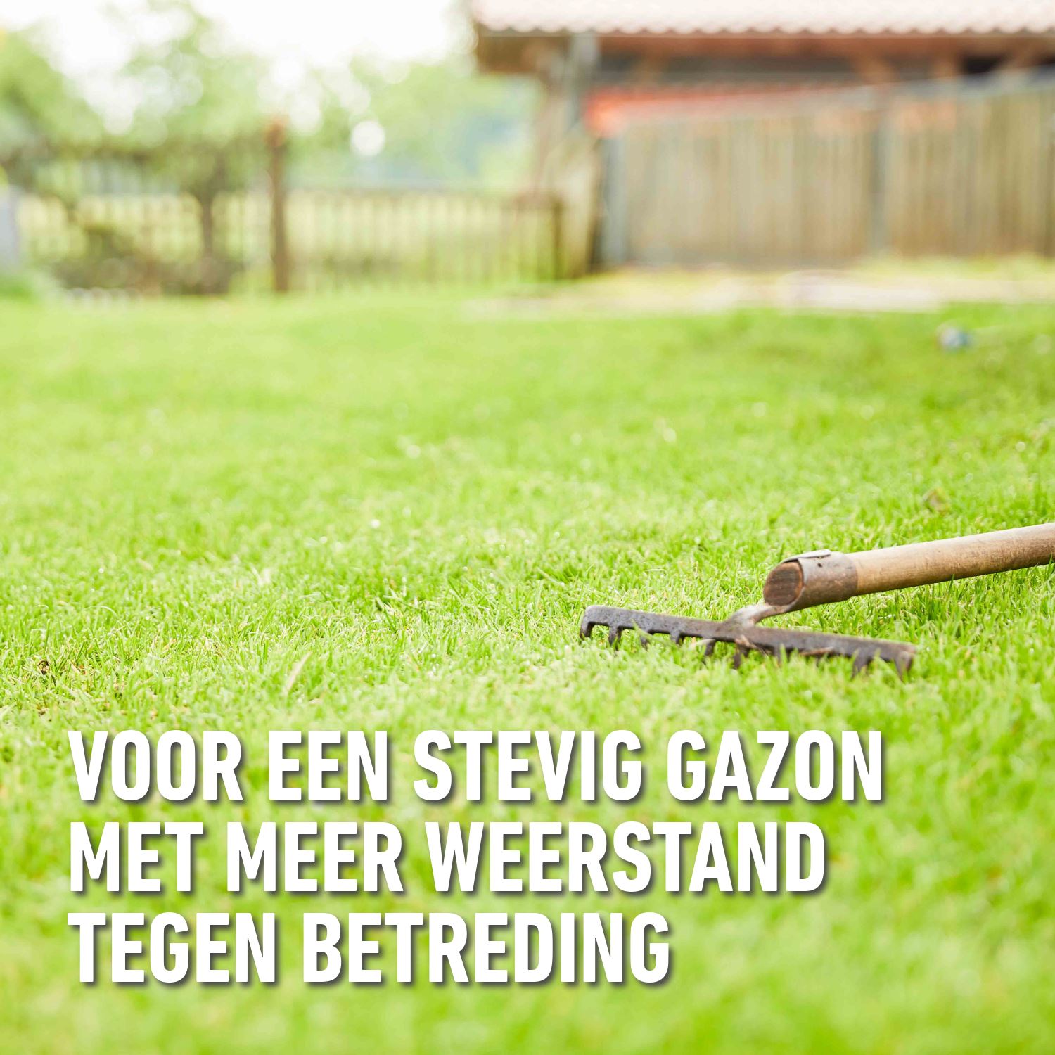 Compo-gazonzaad-sport-spel-1kg