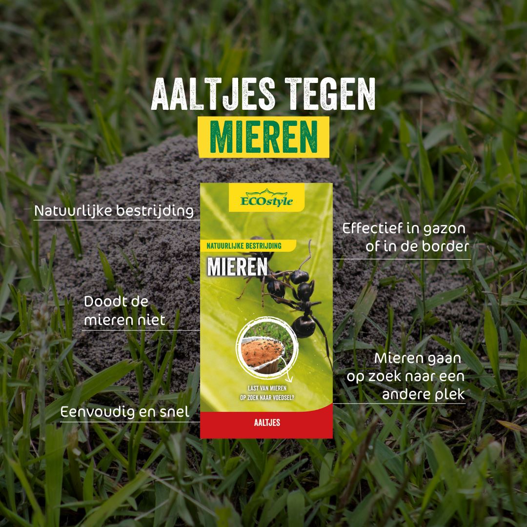 Aaltjes-F-tegen-mieren-5-mln-10-m-