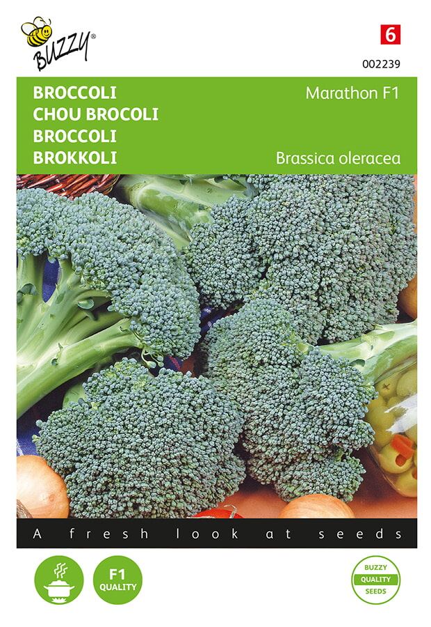 Buzzy® Broccoli seeds - Marathon F1
