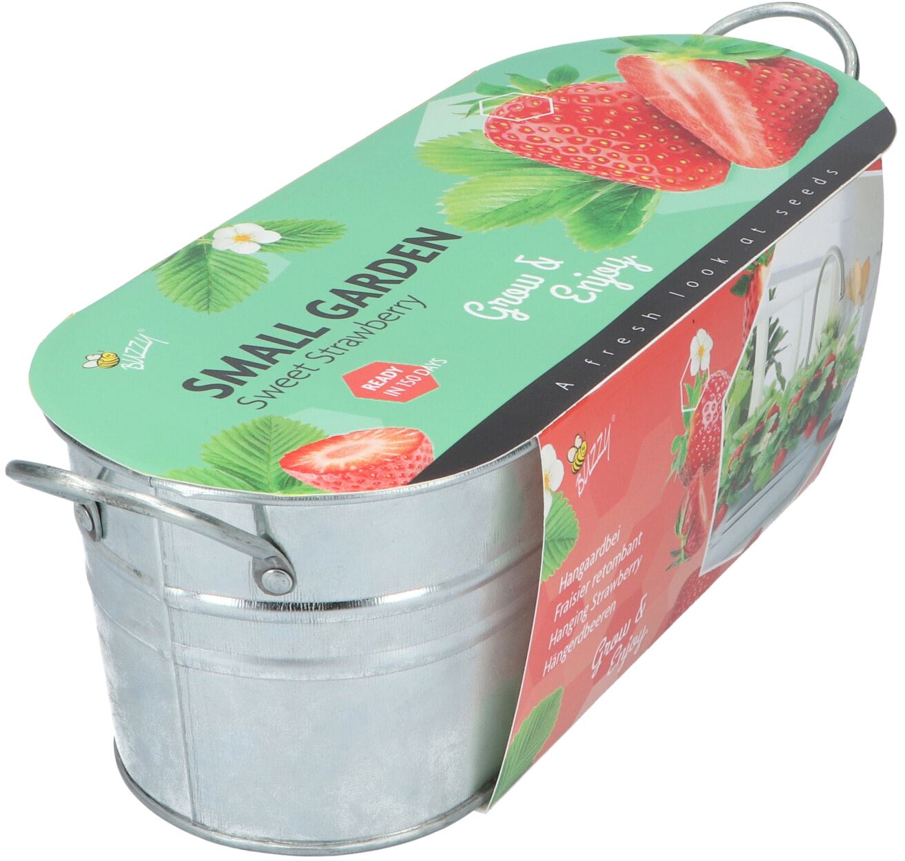 Buzzy-Small-Garden-Sweet-Strawberry