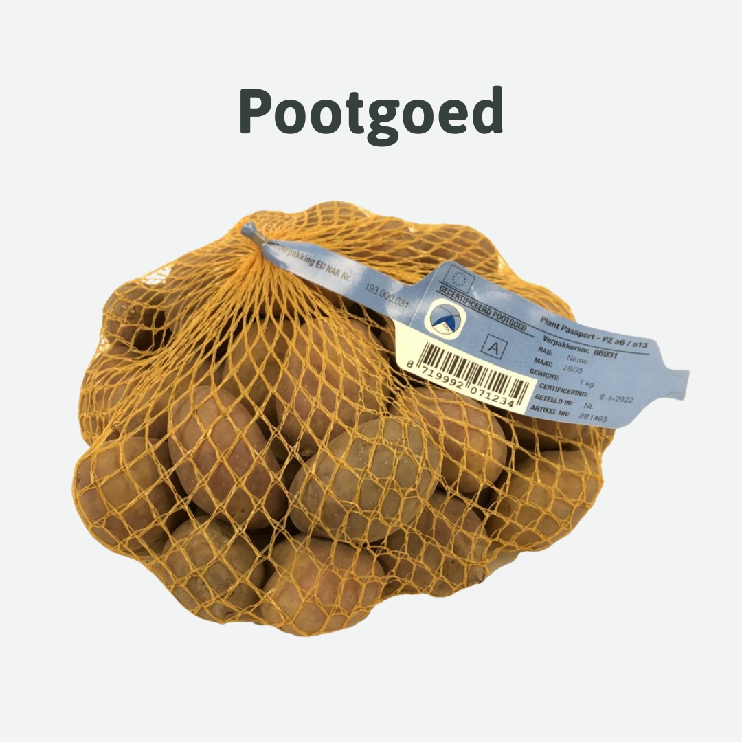 pootgoed