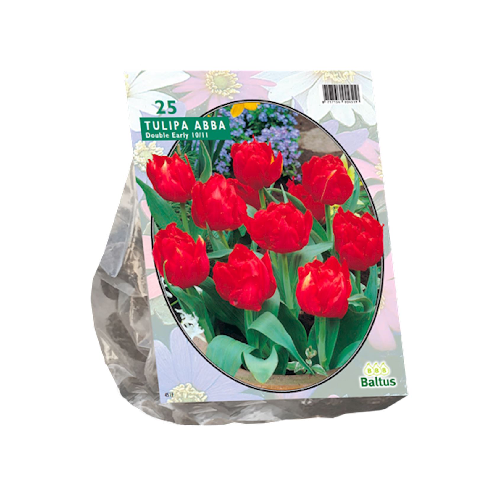 tulipa-dubbel-vroeg-abba-per-20