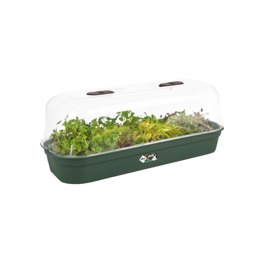 green-basics-kweektray-l-blad-groen