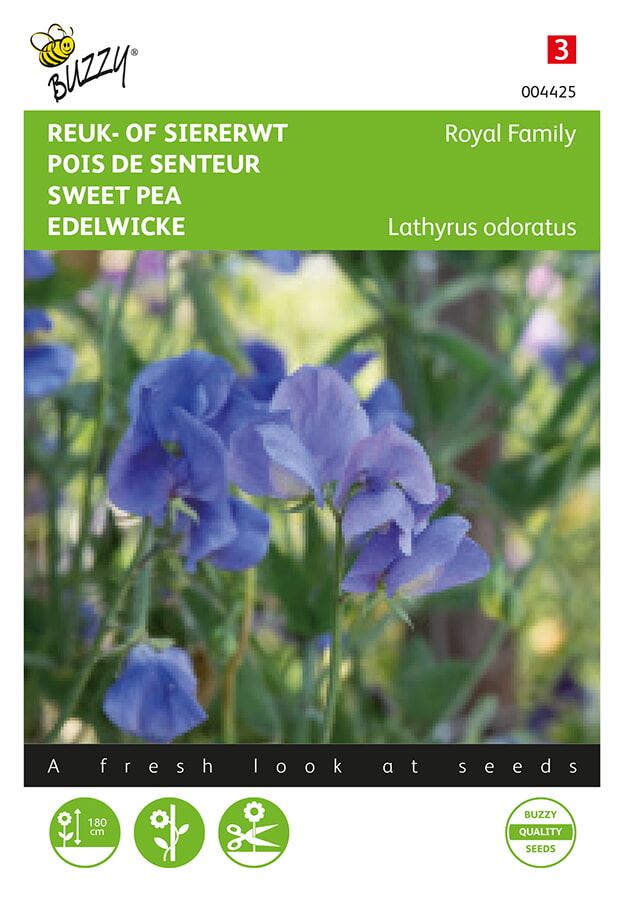 Buzzy-Lathyrus-Reuk-of-siererwt-Royal-Family-Blauw
